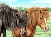 Miniature Horse, Equine Art - Black and Chestnut Mini